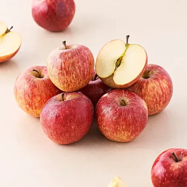 Apple Shimla