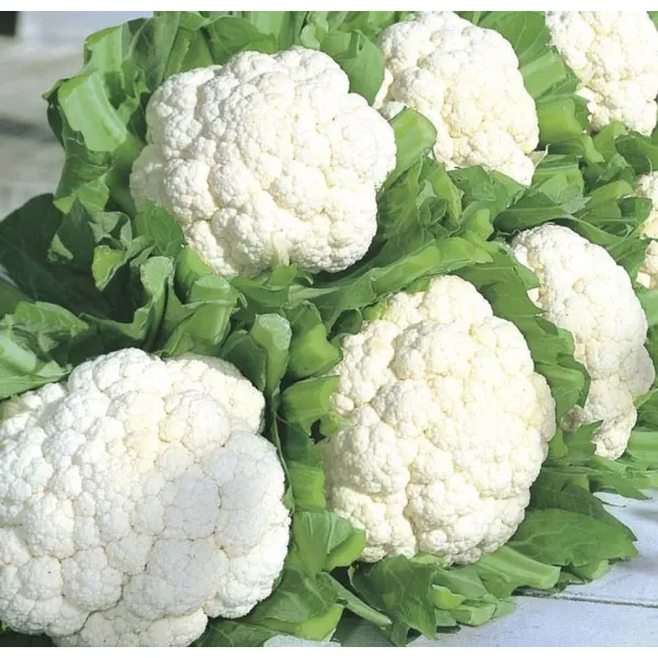 Phool Gobhi 
